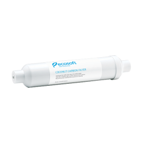Угольный постфильтр Ecosoft 2"х10"