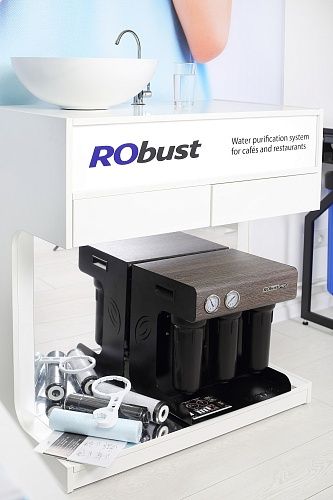 Фильтр обратного осмоса Ecosoft RObust PRO ROBUSTPROB - фото 16