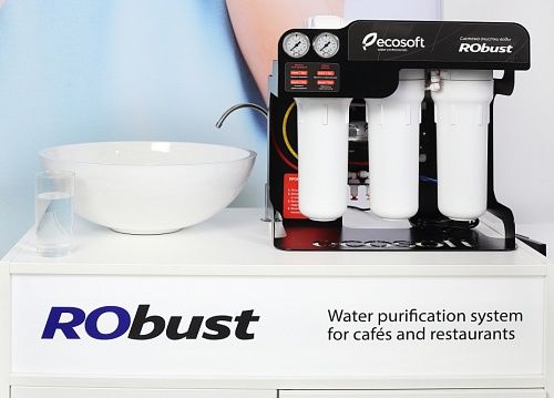 Фильтр обратного осмоса Ecosoft RObust 1000 ROBUST1000 - фото 4