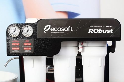 Фильтр обратного осмоса Ecosoft RObust 1000 ROBUST1000 - фото 5