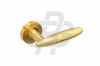Двернi ручки Gavroche Ferrum Fe z2 SB PB матове золото.