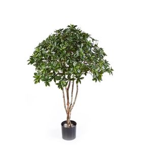 Искусственное растение EUONYMUS JAPONICUS TREE