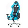 КРІСЛО SPECIAL4YOU EXTREMERACE BLACK/BLUE (E4763)