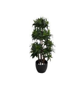 Искусственное растение DRACAENA FRAGRANS COMPACTA