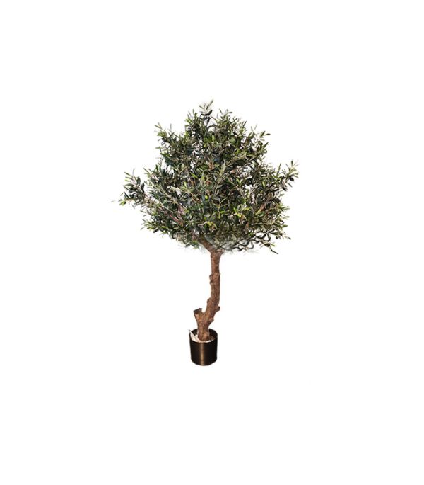 Искусственное растение NATURAL OLIVE TREE POLY