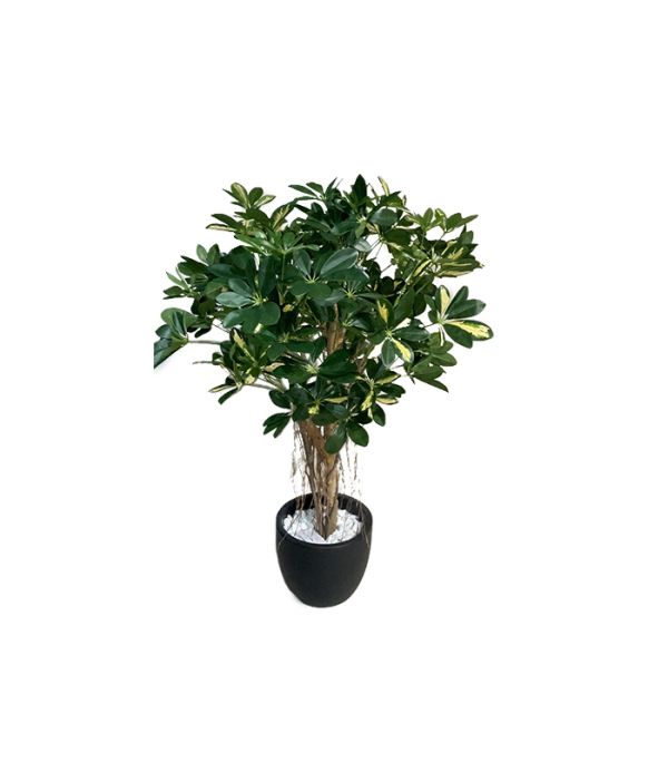 Штучна рослина VARIEGATED NATURAL SCHEFFLERA UMBRELLA - фото 2