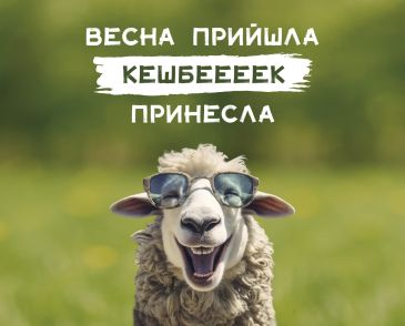 Кешбек 10% на выбранные матрасы