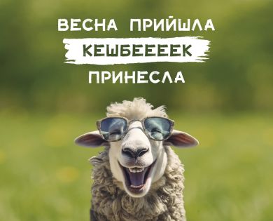 Кешбек 10% на выбранные матрасы