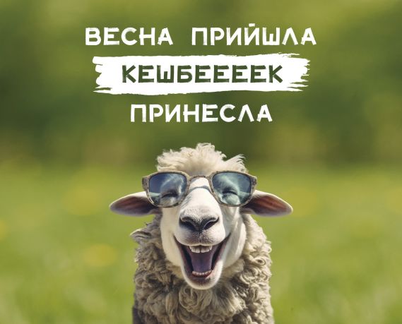 Кешбек 10% на выбранные матрасы