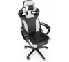 КРЕСЛО ИГРОВОЕ BARSKY SPORTDRIVE GAME WHITE/BLACK SD-17 - фото 2