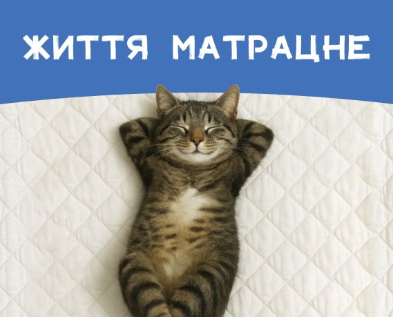 Покупай матрас – получи мгновенный «горячий» кэшбек!