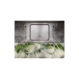 Пароварка Miele DG 7440 BRWS