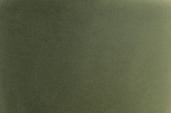 Bali Стілець обідній, Green forest velvet (16055) - фото 7