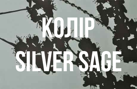 Комплект постельного белья (Одеяло 200х220, прост. 270х290, 4 нав. 50х70) Серебристый с вышивкой Bios Signoria - фото 2