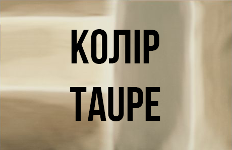 Комплект постельного белья (Пододеяльник 200х220, прост. 270х290, 4 нав. 50х70) Taupe Gouache Signoria