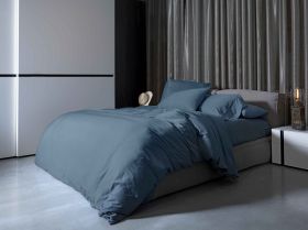 Комплект постільної білизни (Підковдра 200х220, прост. 270х290, 2 нав. 50х70) Antique blue Viola 