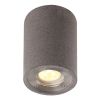 LEVI точкове світло на стелю темно-сіре вуличне IP65 1L GU10 - фото 3