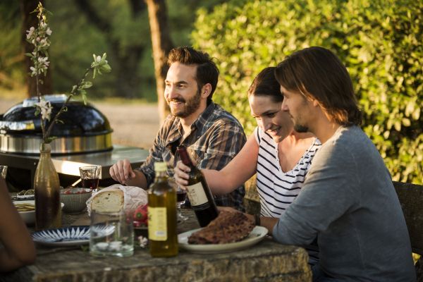 Угольный гриль Napoleon Rodeo Pro Cart PRO22K-CART-2 - фото 2