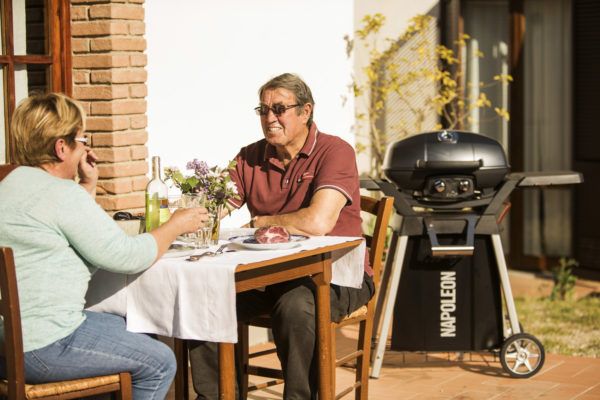 Портативный электрический гриль Napoleon PRO285E PRO285E-PAKET на подставке - фото 11