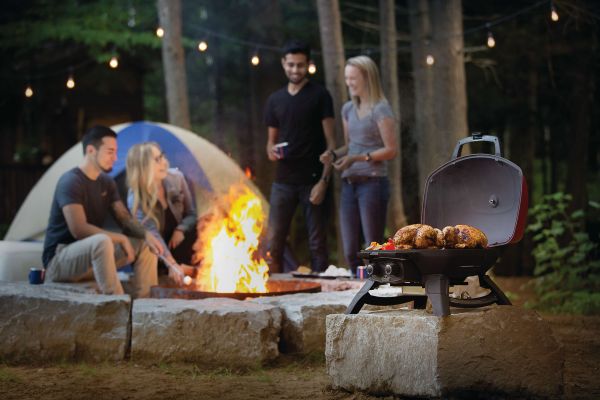 Портативный газовый гриль Napoleon TravelQ 285 TQ285-BK-1 - фото 8