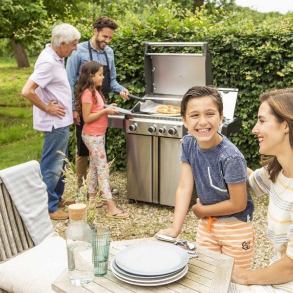 Газовый гриль Napoleon Legend 410 LD410BPSS-1 - фото 9