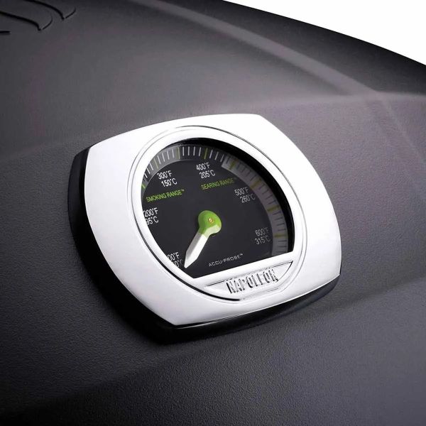 Портативный электрический гриль Napoleon TravelQ PRO285EX PRO285EX-BK - фото 10