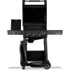 Газовый гриль Napoleon Freestyle 365 DSBPK, черный F365DSBPK-1-UA - фото 4