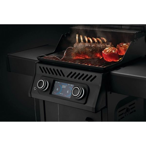Електричний гриль Napoleon Rogue EQ 365 REQ365MK-CE - фото 13