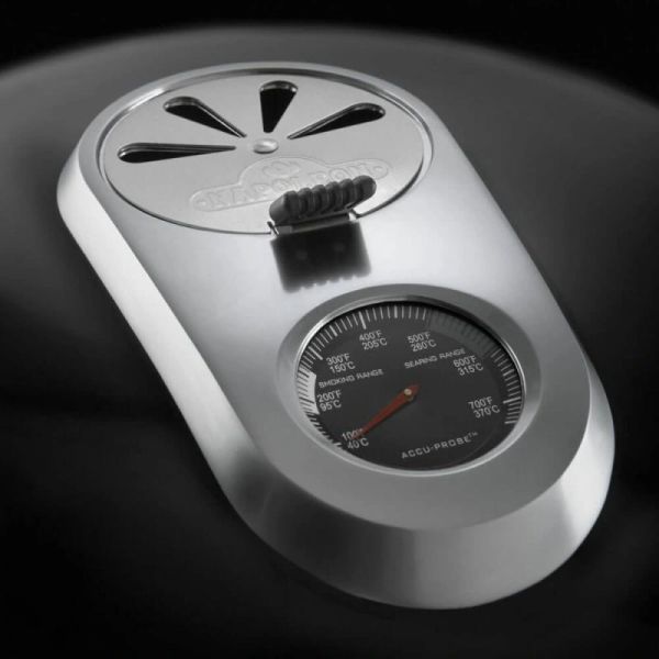 Угольный гриль Napoleon Rodeo Pro PRO22K-LEG-2 - фото 8