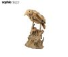 Статуэтка Птица Woody Woodpecker дерево, L36x22xH43