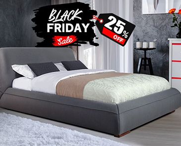 Black Friday sale. 25% OFF