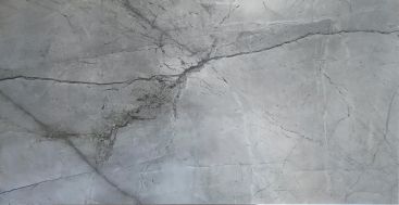 Silver Root 160*80