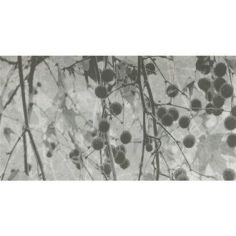 Керамическая плитка Kale Fiore Fon 5465R 40 80