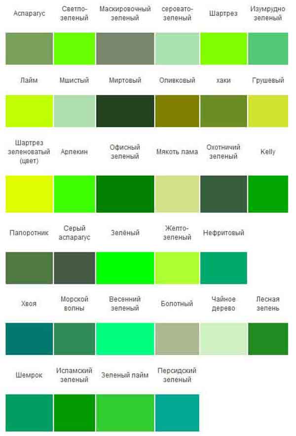 Разновидности зеленых цветов. Расцветки зеленого цвета. Оттенки зеленого с названиями. Оттенки зелёного цвета названия. Зеленый цвет цвет.